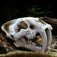 thumbnail image 2 of Aquarium Fish Tank Dinosaur Head Skull Ornament Resin Crafts Halloween Props Popular Science Tools, 2 of 5