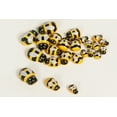thumbnail image 4 of Bumble Bee Wood Flatback Scrapbook Craft Sprng Easter Ornament Crafts Sponge Sticker (1" - 100 pcs), 4 of 6