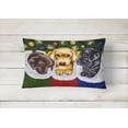 thumbnail image 2 of Carolines Treasures AMB1315PW1216 Christmas Stocking Surprise Labrador Fabric Decorative Pillow, 2 of 3