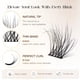 thumbnail image 3 of Extensiones de volumen Eyelash Cluster BEFER Lash 3D Curl de 10 a 16 mm, 3 of 6