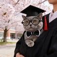 thumbnail image 6 of Pet Graduation Cap and Bow Tie Set for Dogs and Cats with Adjustable Glasses Academic Costume for Ceremony or Photo Props, Lightweight Polyester Apparel for Memorable Graduation , Back to School, 6 of 6