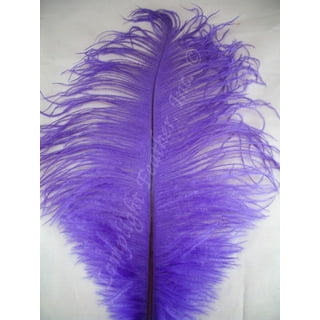Light Pink Ostrich Feather 8-12 Inch Size per SIX 6 
