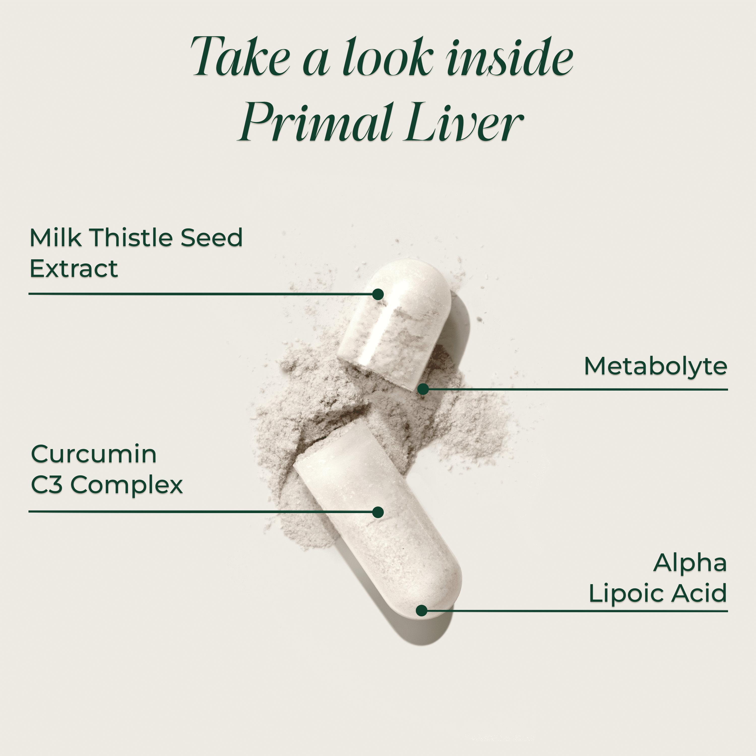 Primal Harvest Primal Liver, 2 Pack: Liver Detox & Support with Alpha-Lipoic Acid, L-Cysteine, Glutathione, Milk Thistle, Spirulina, Turmeric & Dandelion Root for Healthy Liver Function. ( 120ct)