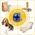 thumbnail image 4 of Ambientador para coche Arm & Hammer New Car Freshness, paquete de 4, 4 of 7