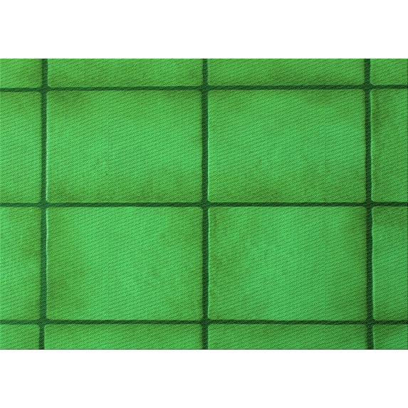 Ahgly Company Machine Washable Indoor Rectangle Transitional Lime Green Area Rugs, 8' x 10'