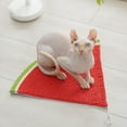 thumbnail image 4 of Reheyre Cat Scratching Pad Watermelon Carrot Shape Grinding Claws Adorable Sisal Kitten Fruit Scratcher Mat Cats Supplies, 4 of 8