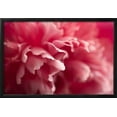 thumbnail image 2 of Pink Flower, Botanical Framed Art Print Wall Art by PhotoINC Sold by Art.Com, 2 of 6