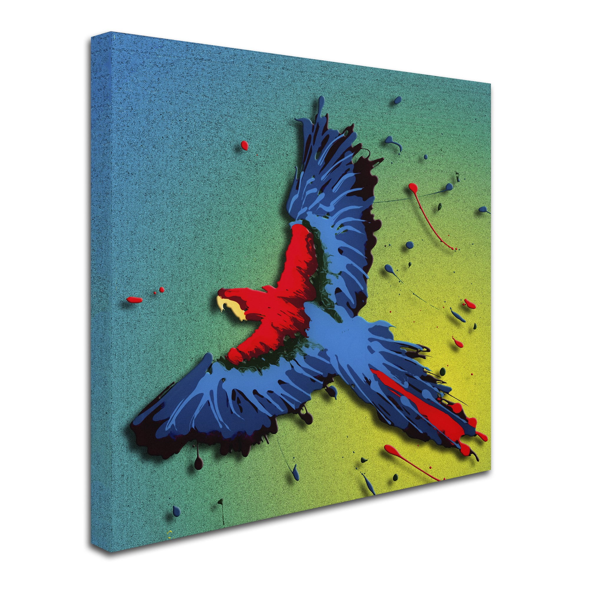 Trademark Fine Art Roderick Stevens 'Tropical Bird 1' 18 x 18
