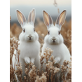 thumbnail image 1 of Qisvanset 12x16 Inch Meadow White Rabbit Canvas Wall Art, Serene Pastoral Rustic Farmhouse Wildlife Decor, 1 of 8