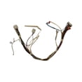 thumbnail image 2 of 242303101 Electrolux Appliance Wiring Harness, 2 of 2