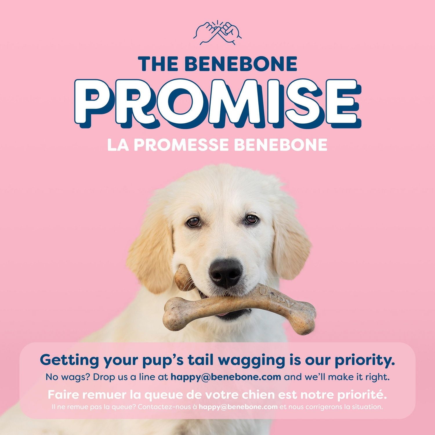 Benebone Essentials Puppy, Rubber and Bacon Wishbone, 2pk, Benebone Essentls Puppy, 2pk