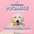 thumbnail image 3 of Benebone Essentials Puppy, 2-Pack Rubber and Bacon Wishbone, 3 of 9