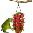 BESTSKY 2026 New Bird Ball Toy,Parrot Chew Toys,Cockatiel Toys,Bird ... - Parrot Midi Cage With Pedestrian Toys