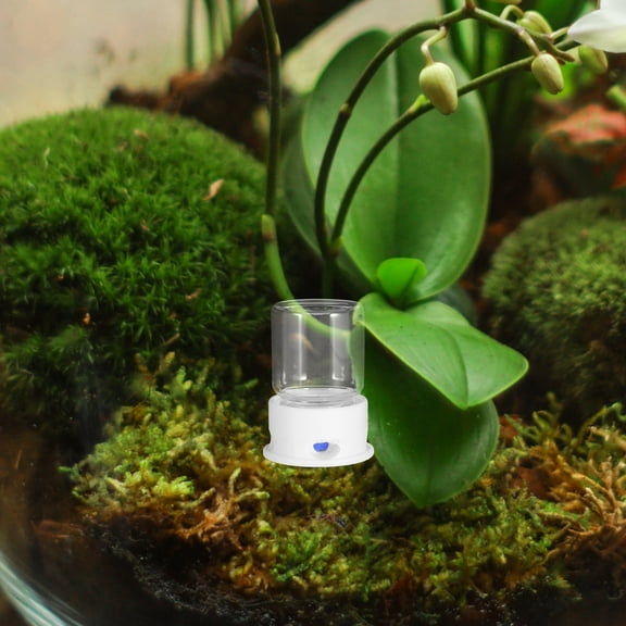 WASHWEPE Automatic Ant Water Dispenser Reusable Ant Feeding Bowl Stable Easy To Operate For Efficient Feeding