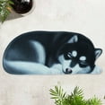 thumbnail image 4 of Alfombras de baño, tapete de baño, alfombra 3D con temática de perro, felpudo de bienvenida de 87 x 40 cm, antideslizante, divertido y novedoso para vacaciones de verano, decoración de interiores y ex, 4 of 7