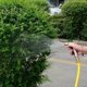 thumbnail image 3 of High Pressure Water Spray Gun Metal Brass Nozzle Car Garden Lawn Wash Hose Pipes, 3 of 3