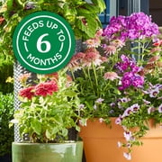 Osmocote Smart-Release Plant Food Plus Outdoor & Indoor, 1 lb.