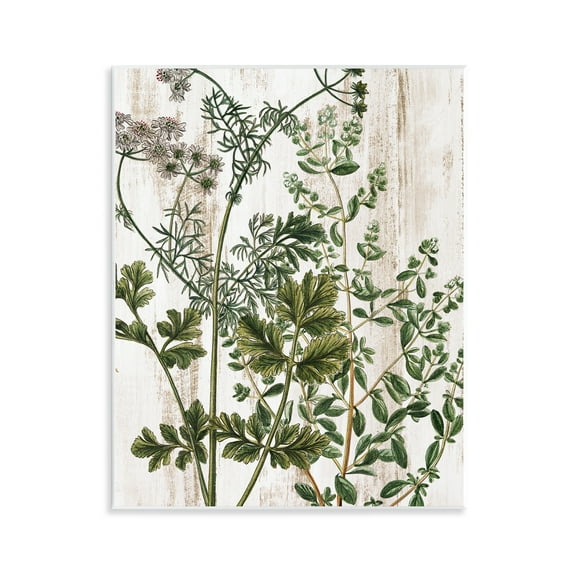 Stupell Industries Botanical Greenery Pattern Botanical & Floral Painting Unframed Art Print Wall Art, 11 x 14