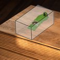 thumbnail image 4 of OFFIGAM Basking Platform For Bearded Dragons Turtle Jar ABS Green 1Pcs, 4 of 8