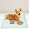 thumbnail image 4 of Gymax 30''x 30''(300 Counts) Dog Potty Training Pads Puppy Pee Pads w/ Quick-Drying, 4 of 9