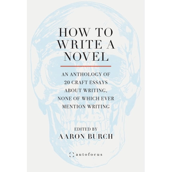 How to Write a Novel: An Anthology of 20 Craft Essays about Writing, None of Which Ever Mention Writing, (Paperback)