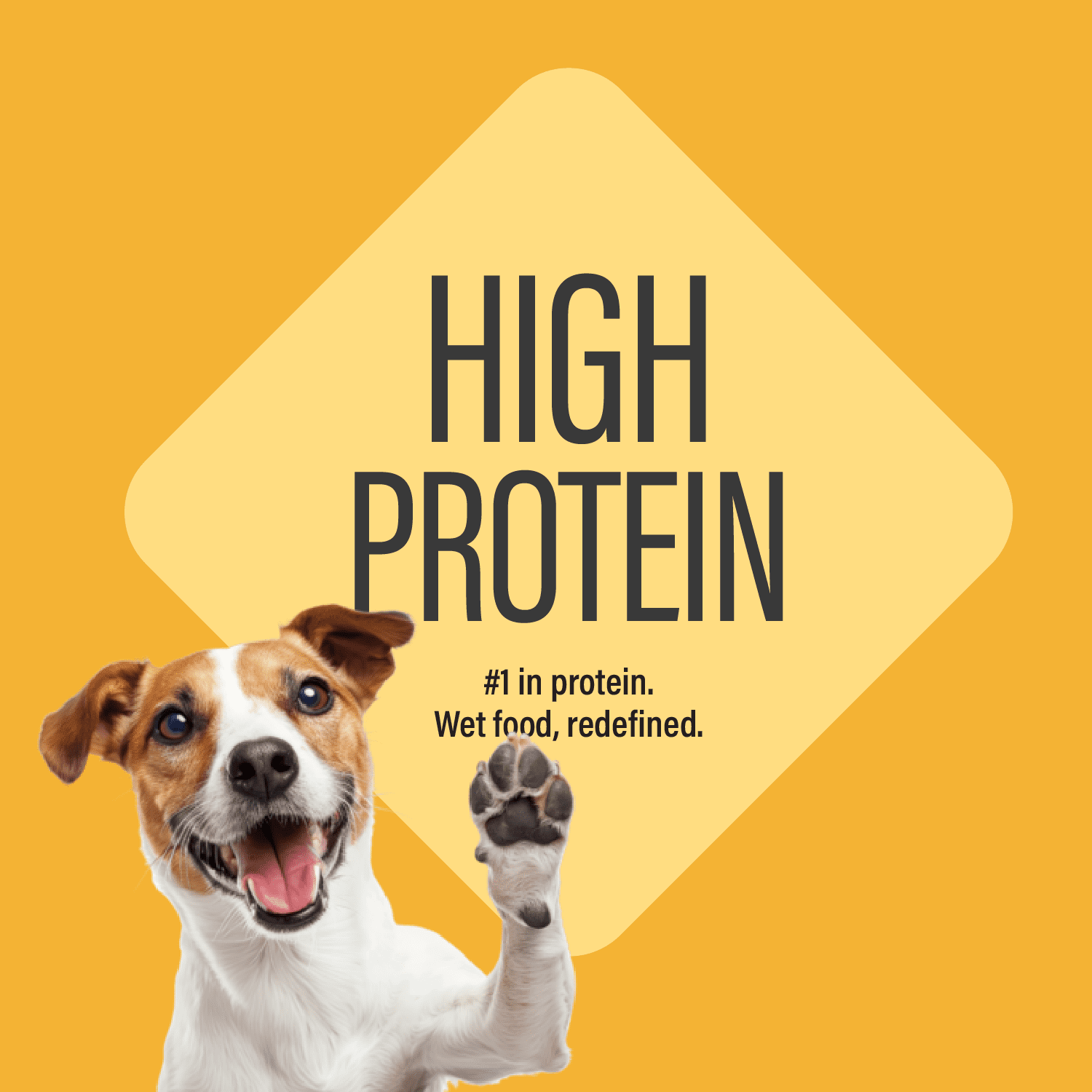 Chewer's Joy Natural Wet Dog Food Variety Pack, Paté Dinner, High Protein, Beef, Chicken, Salmon, Rice, 12 Cans (85g Each)