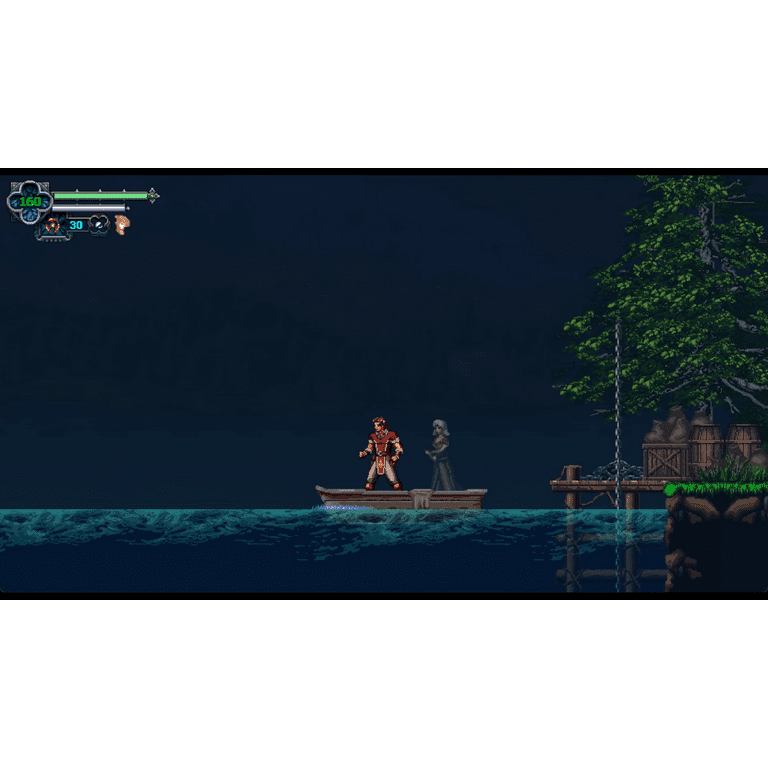 Chronicles of the Wolf, Nintendo Switch - Walmart.com
