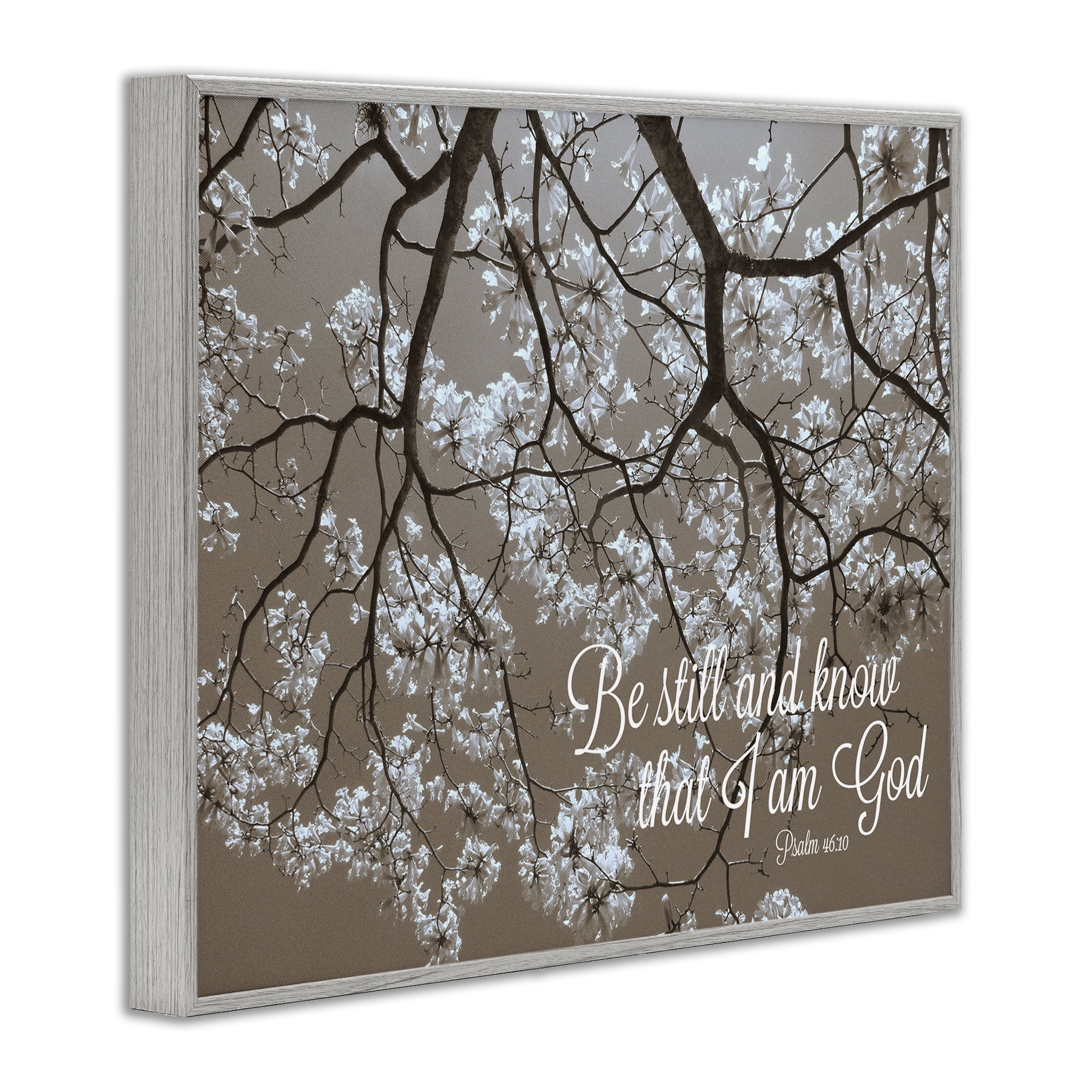 Stupell Industries Be Still Apple Blossoms Gray Framed Giclee Art, design by Gail Peck