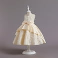 thumbnail image 4 of Coerni Kids Girls Wedding Fancy Lace Dress Toddler Dance Formal Party Birthday Smocked Dresses Pageant Tutu Frocks Skirts, 4 of 9