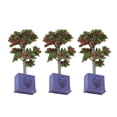thumbnail image 1 of Fruit Tree Model, Rich Color Long Service Life Fade Resistant 1:12 Miniature Dollhouse Plants Resin  For Dollhouse Decoration, 1 of 8