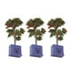 thumbnail image 3 of Árboles frutales para Casa de muñecas BuyWeek 3 piezas plantas en miniatura modelo de árbol frutal, 3 of 14