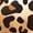 Brown, variant on Kids Girls Latin Jazz Dance Dress Shiny Rhinestones Printed Asymmetrical Ballet Tutu Feather Skirted Leotard Yellow 16