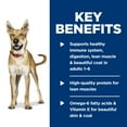 thumbnail image 4 of Hill's Science Diet Chicken & Barley Wet Dog Food, 13oz Can 12pk, 4 of 7
