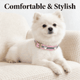 thumbnail image 6 of TELOLY Small Dog Collar,Cute Leather Dog Collar for Girl,Adjustable and Soft Pet Collar, 6 of 7