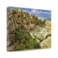 thumbnail image 2 of Through The Cracks By Dennis Frates, 39" x 26" Fine Art Giclee Print on Gallery Wrap Canvas, Ready to Hang, 2 of 2