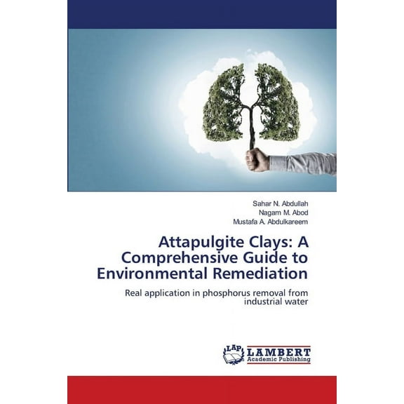 Attapulgite Clays: A Comprehensive Guide to Environmental Remediation, (Paperback)