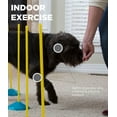 thumbnail image 5 of Outward Hound ZipZoom Indoor Dog Agility Training Kit for Dogs, Multi, One-Size, 5 of 8