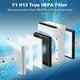 thumbnail image 3 of Filtro de repuesto iSingo F1 para purificador de aire AMEIFU F1 x2, 3 of 8