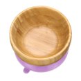 thumbnail image 4 of Baby Bamboo Silicone Feeding Plates + Spoon Set/Bowl Plate + Spoons Tableware, 4 of 6
