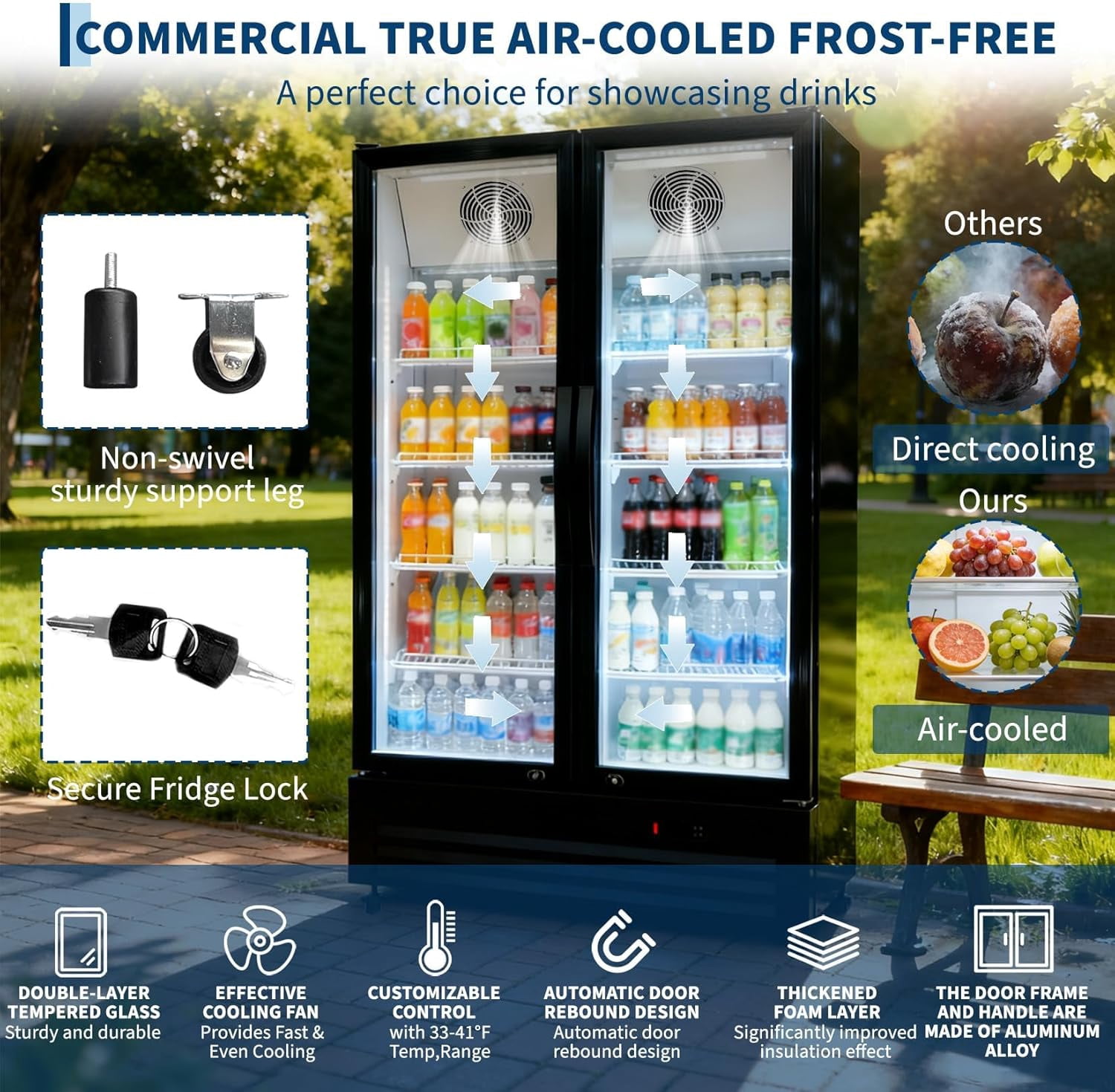 GlowSol 32.5 Cu. Ft. Commercial Beverage Fridge – Double Glass Door Display Refrigerator featuring 8 Adjustable Shelves and a Frost-Free System.