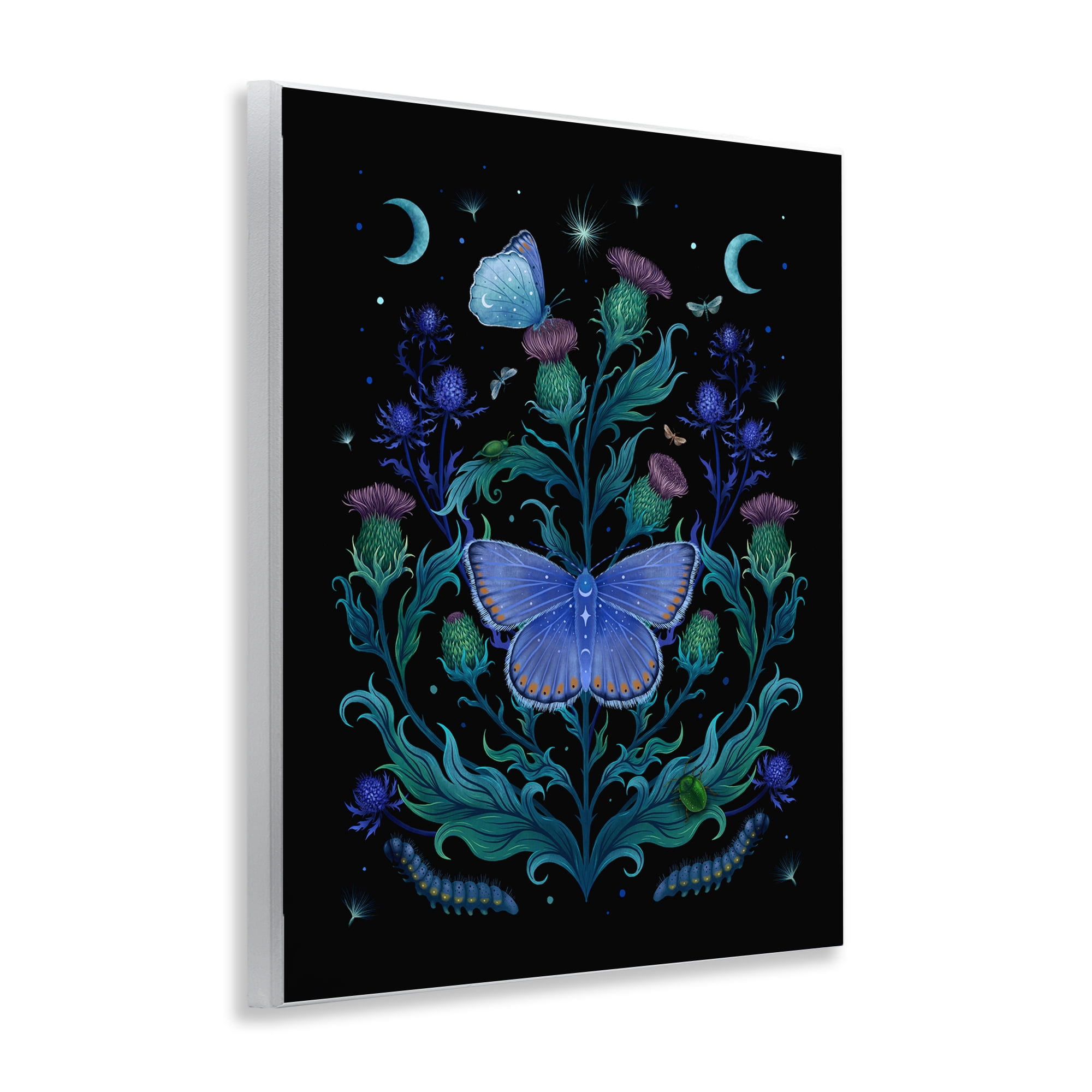 Stupell Industries Thistles & Insects at Night Wall Plaque Art, design by Episodic Drawings