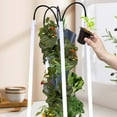 thumbnail image 4 of Hydroponic Growing Unit, Perfect for Fruits & Vegetables, Built-in Grow Light, Simple Setup, Effortless Upkeep, 4 of 6