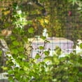 thumbnail image 4 of Plant Crawling Net Melon And Fruit Planting Climbing Nets 1PC Anti-sun Durable Weathering Gardening Tools New Trellises, 4 of 9