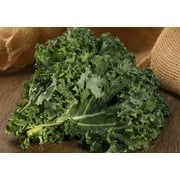 Proven Winners 4-Pack, 4.25 in. Eco+Grande, Mix Kale, Live Vegetable Plant