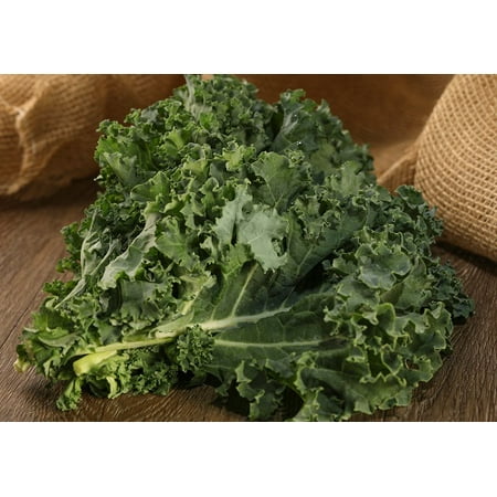 Proven Winners 4-Pack, 4.25 in. Eco+Grande, Mix Kale, Live Vegetable Plant