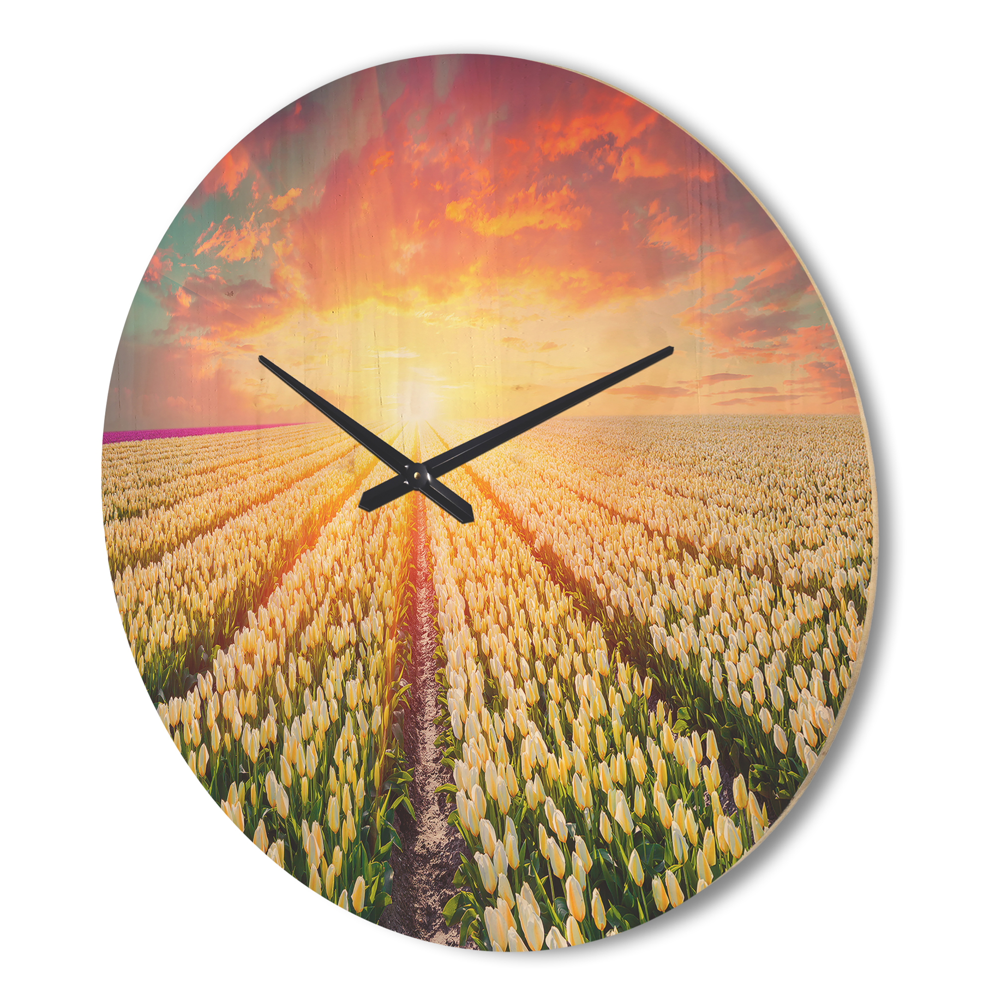 Designart 'Blooming White Tulips at Sunrise' Farmhouse Wood Wall Clock