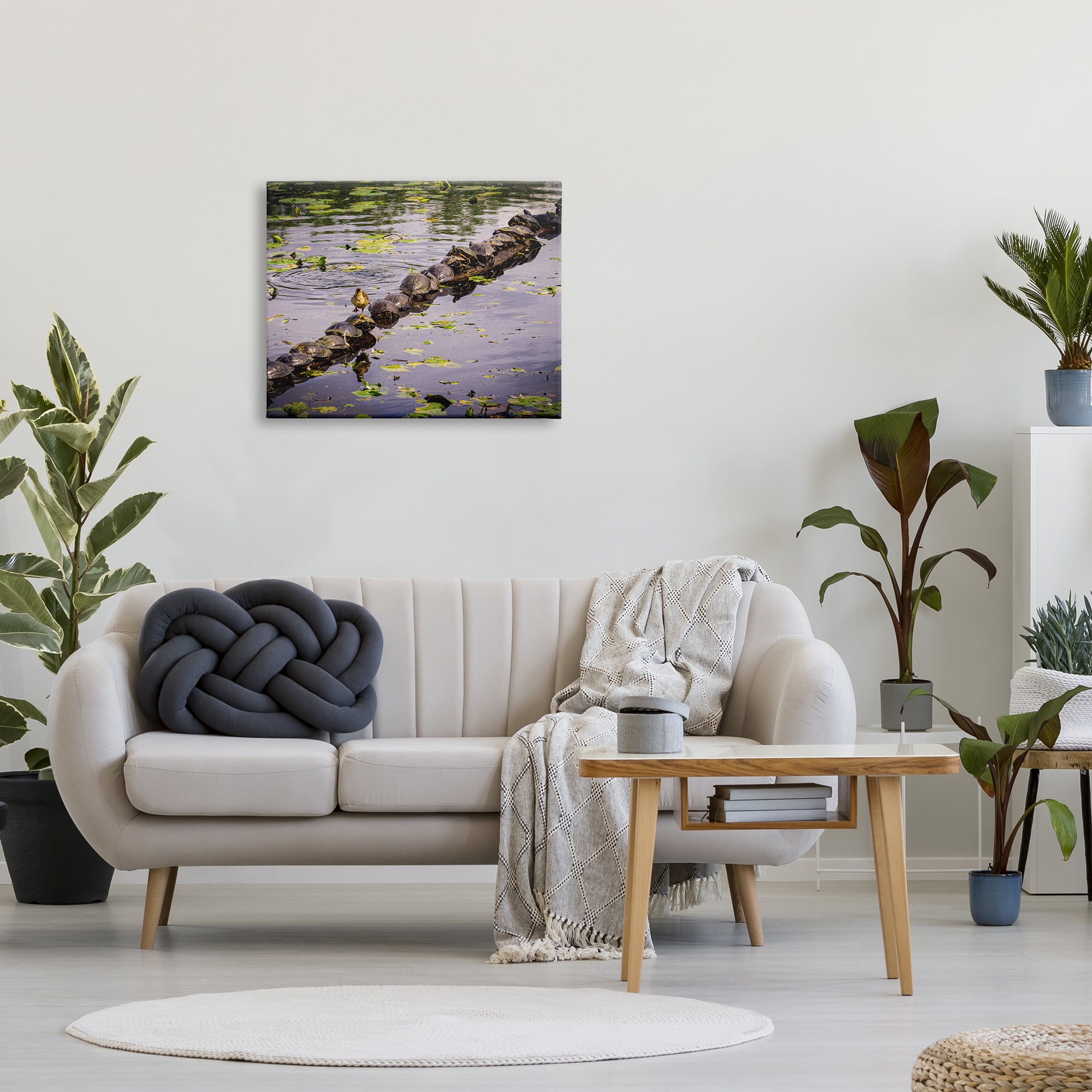 Stupell Industries Bird on Turtle Backs Landscape Photography Gallery Wrapped Canvas Art Print Wall Art, 30 x 24
