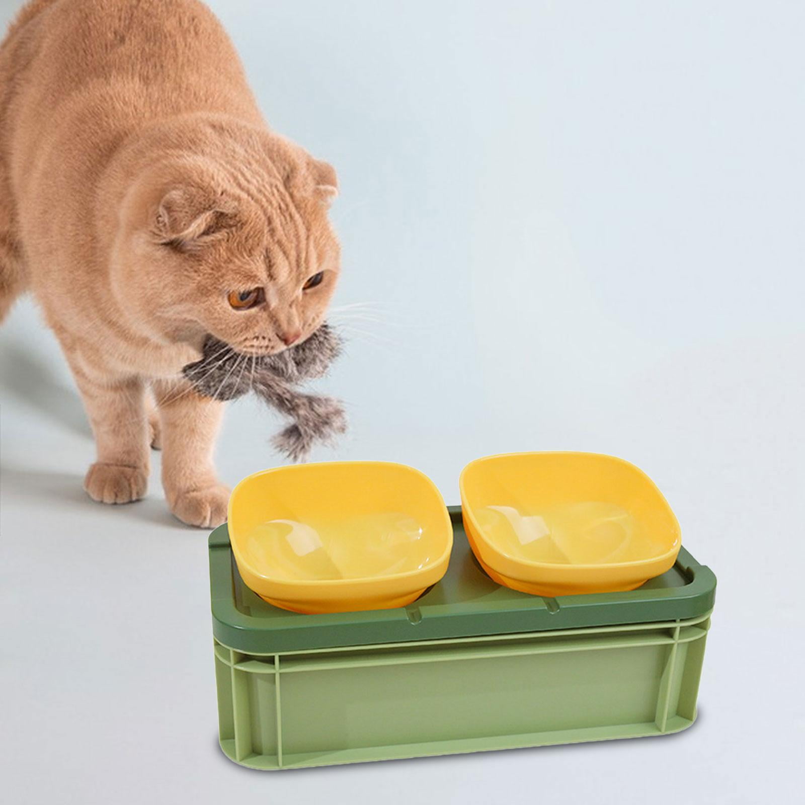 Gazechimp Raised Cat Bowl Cat Feeding Dish for Cats Cat Dog Feeder Anti Slip Protect Pet's Green