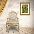 thumbnail image 3 of Ditto, Larry 13x18 Gold Ornate Wood Framed with Double Matting Museum Art Print Titled - Tawny Emperor-Asterocampa clyton-sunning, 3 of 4