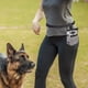 thumbnail image 4 of DEEPCRAFF Bolsillo Para De Perro Con Cuerda Ajustable Tela Oxford Para Guardar Accesorios Y Entrenamiento, 4 of 6